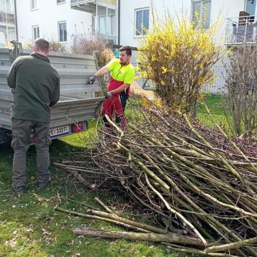 Garten3